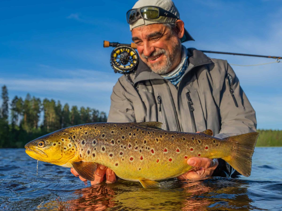 Finnish Troutland