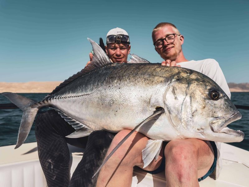 giant trevally fishing red sea