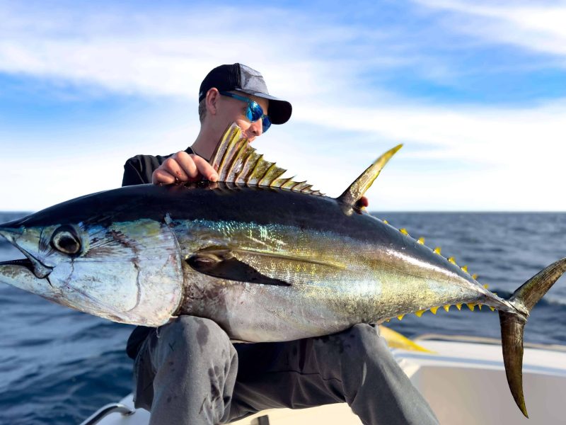 yellowfin tuna fishing red sea egypt