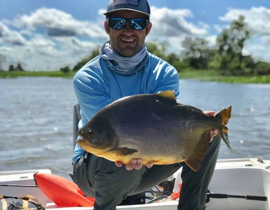 Pacu - Bucket List Fishing Trips