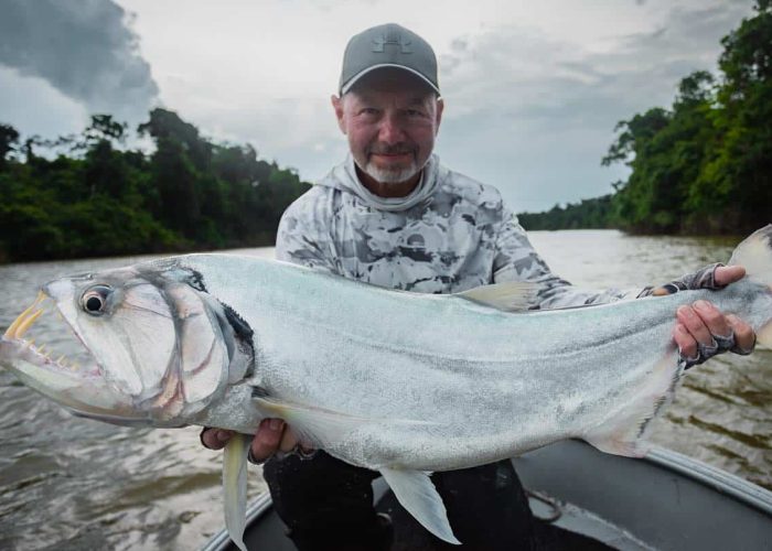 trophy payara caught in colombia