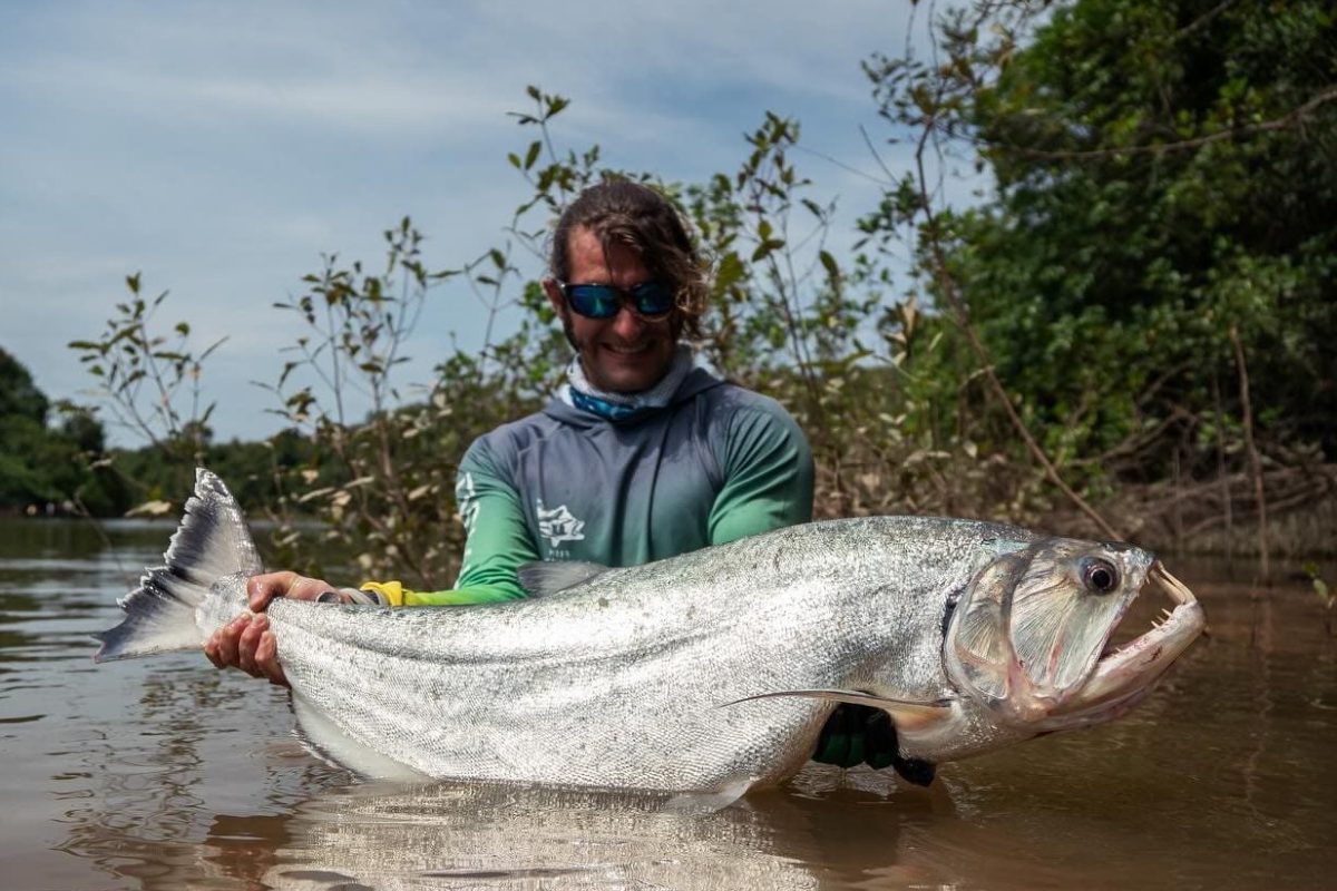 Payara Orinoco