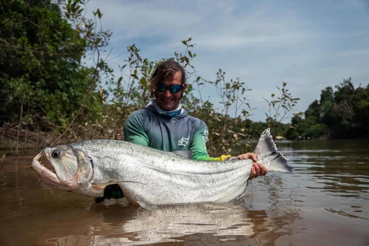 Payara Orinoco