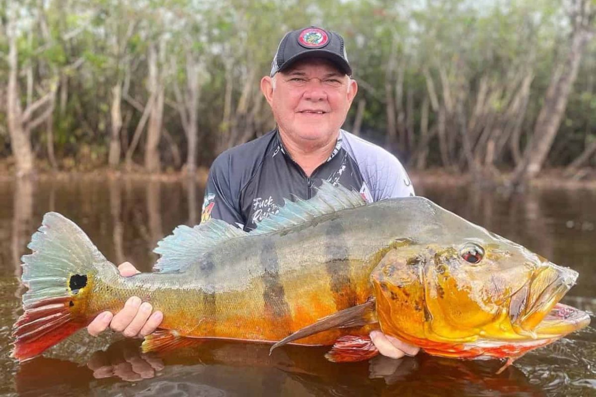 Peacock Bass fishing in the Amazon