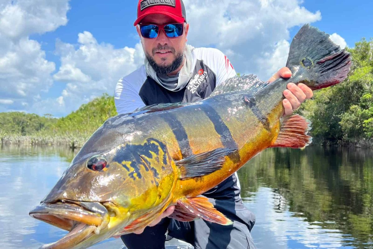 Peacock Bass fishing in the Amazon