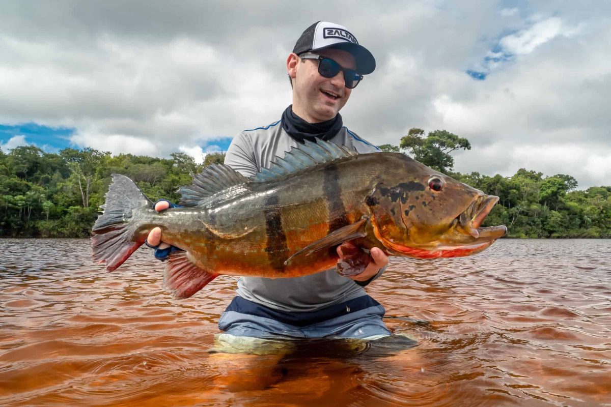 Peacock Bass fishing in the Amazon