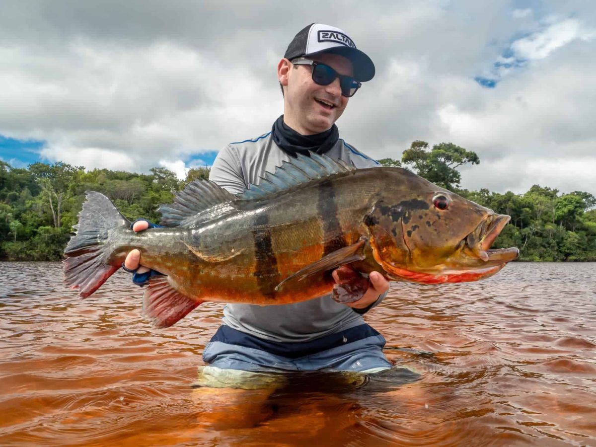 Peacock Bass fishing in the Amazon