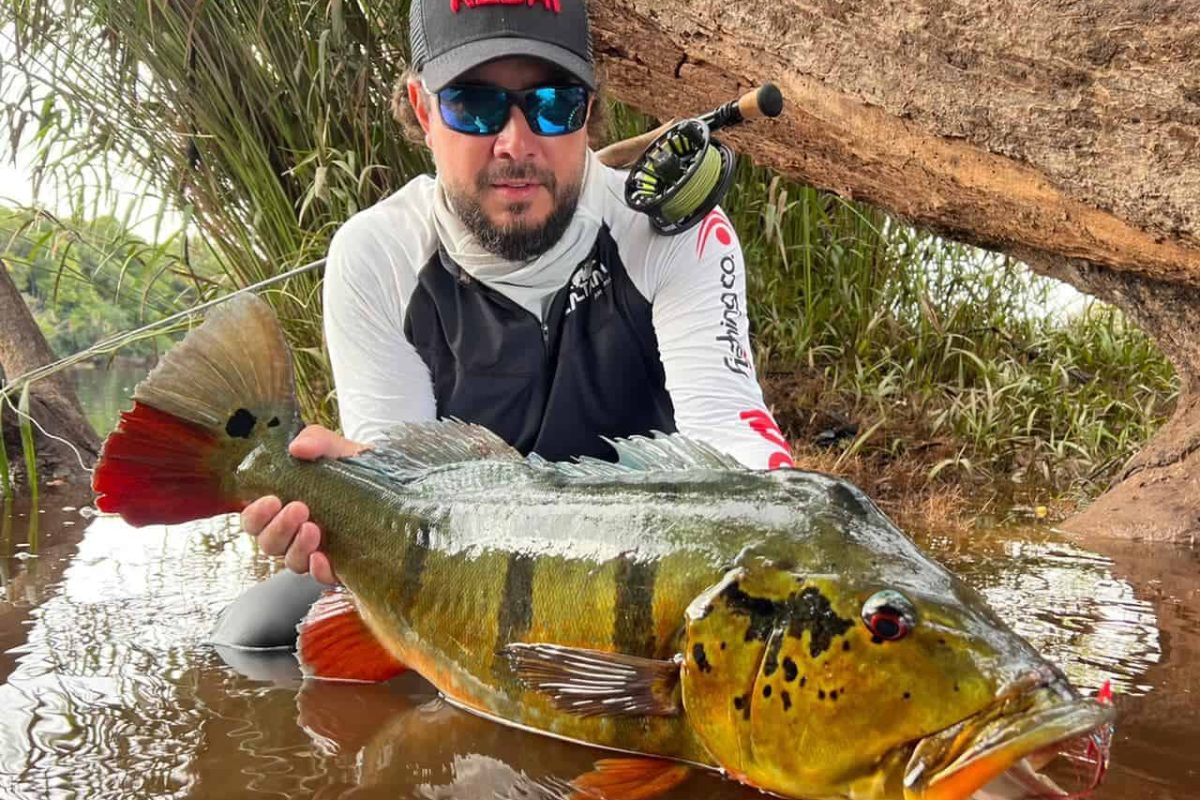 Peacock Bass fishing in the Amazon