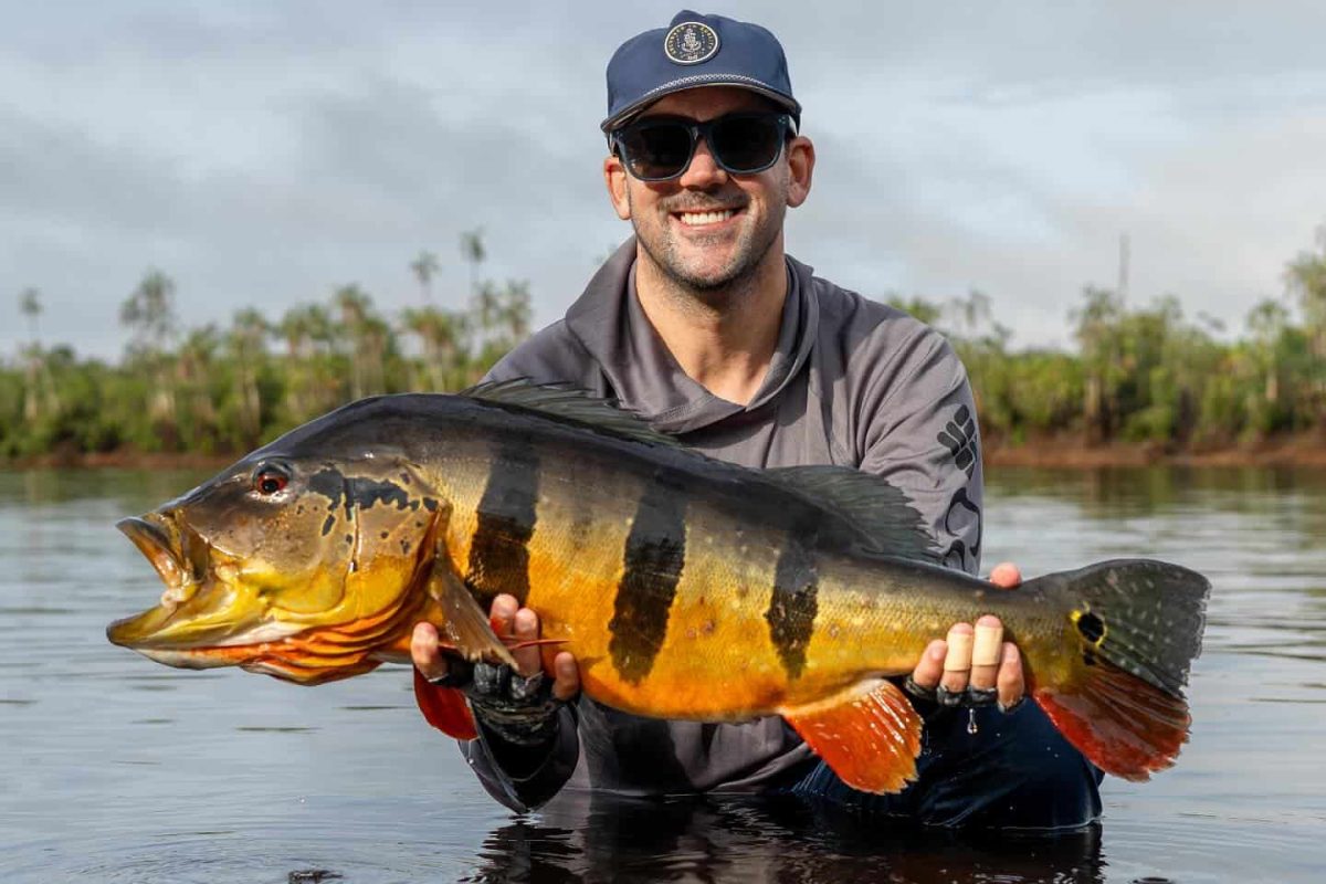 Peacock Bass fishing in the Amazon
