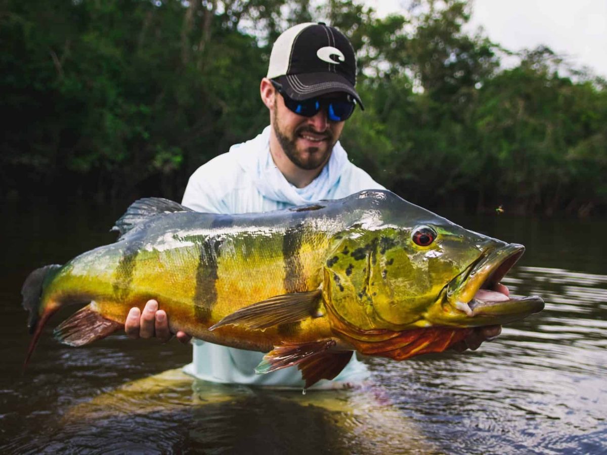 Peacock Bass - Bucket List Fishing Trips