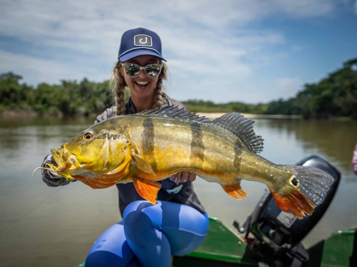 Peacock Bass Orinoco Lodge Fish Colombia