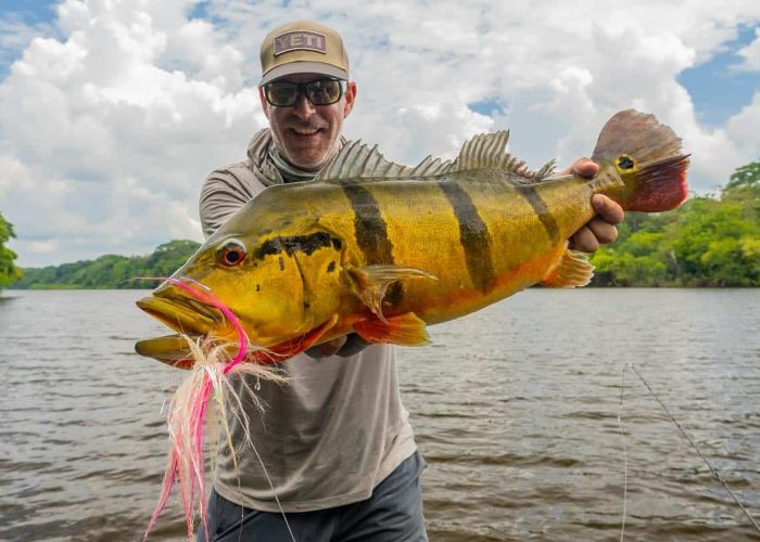 peacock bass fly fishing in colombia