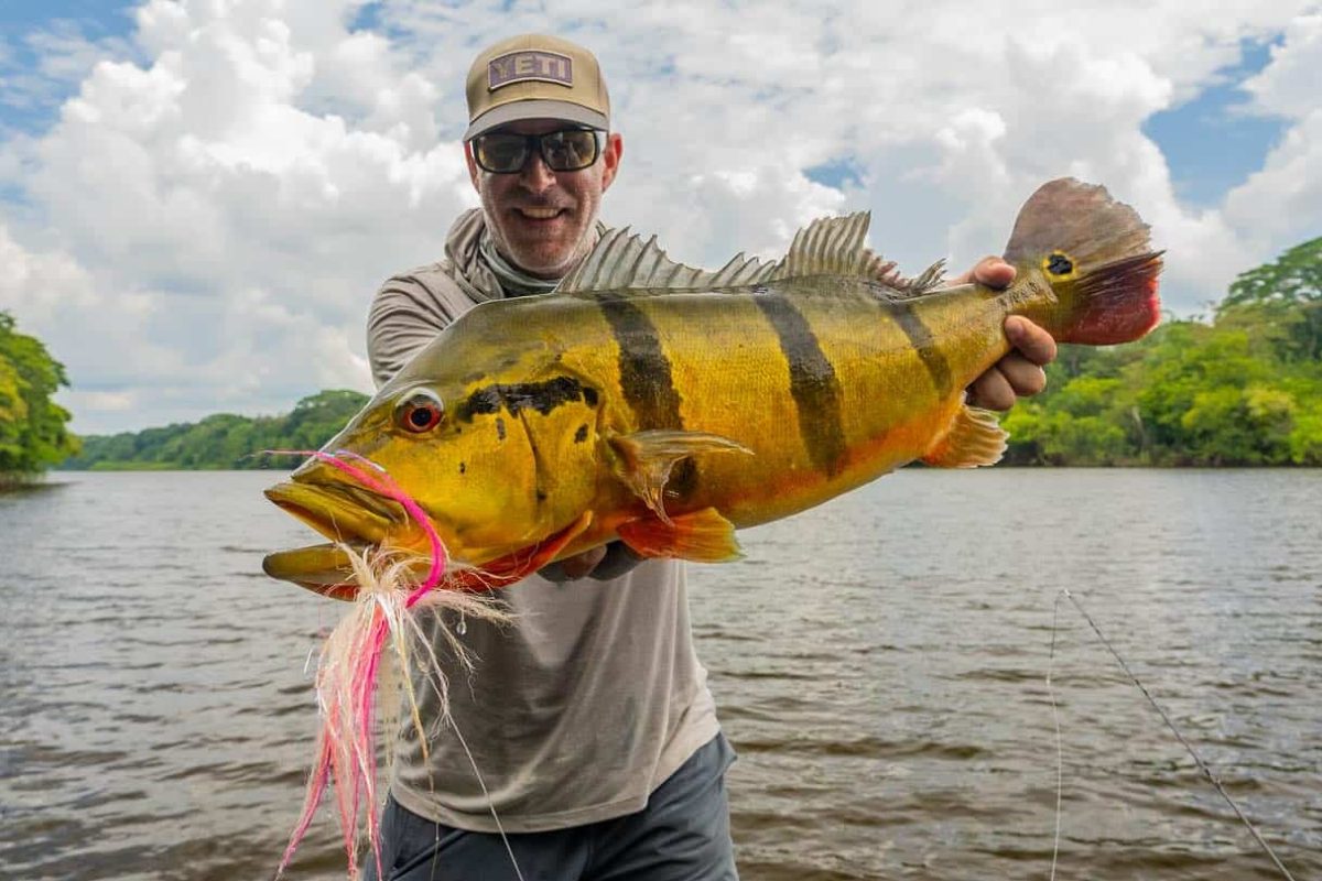 peacock bass fly fishing in colombia