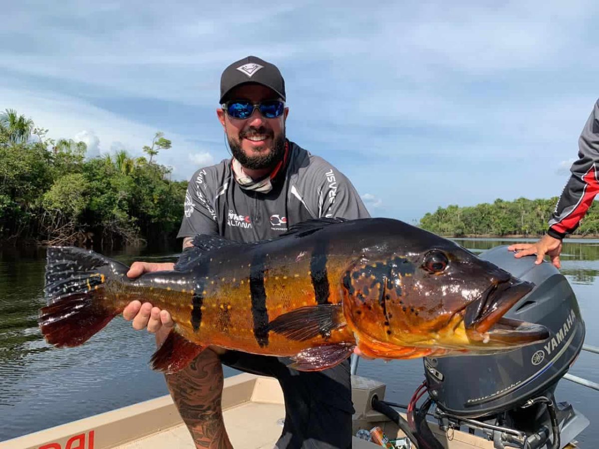 Peacock Bass fishing in the Amazon