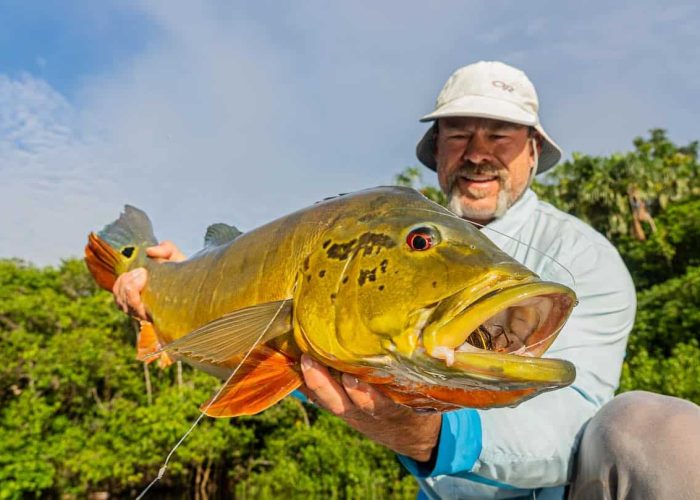 peacock bass fishing in the jungle
