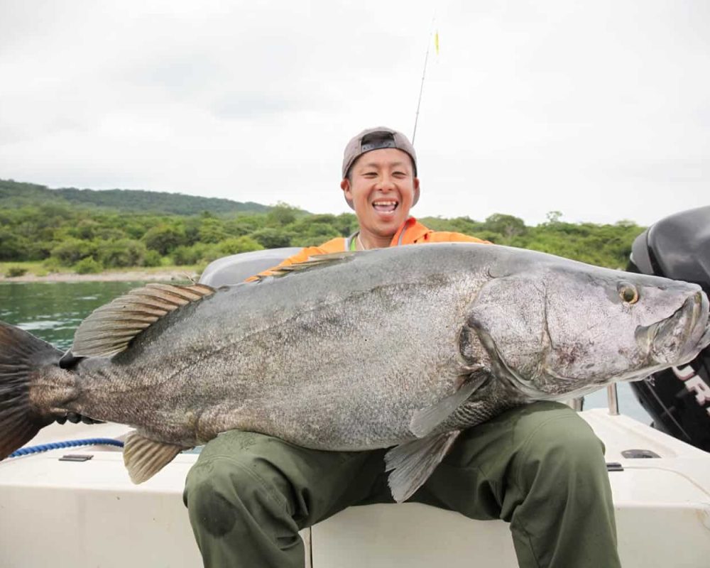large tanganyikan perch caught by fisherman