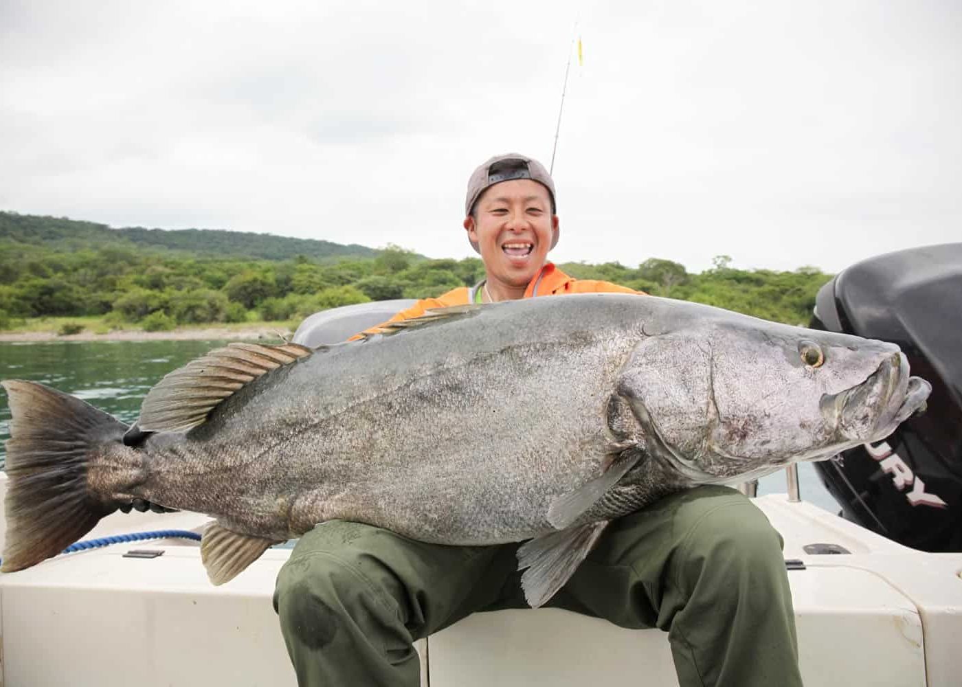 Large tanganyikan perch caught by fisherman in Lake Tanganyika