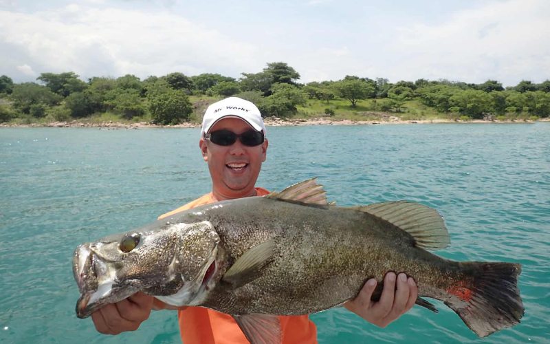 fishing for tanganyikan perch