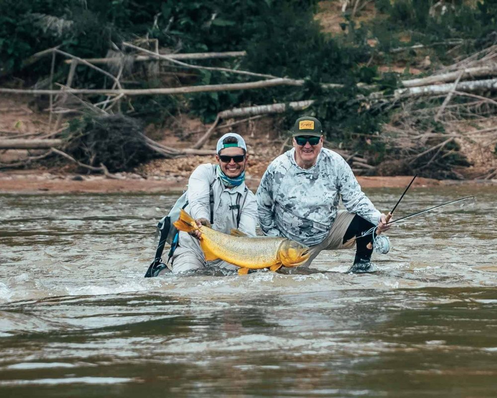 Golden Dorado Fly Fishing