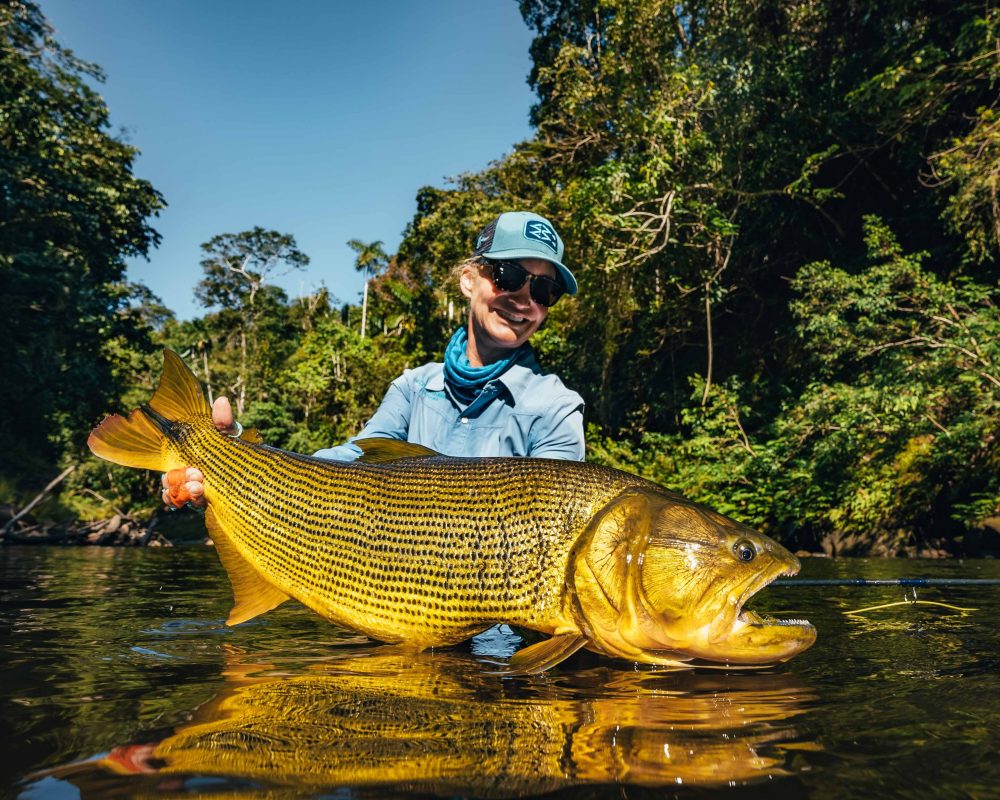 Golden Dorado