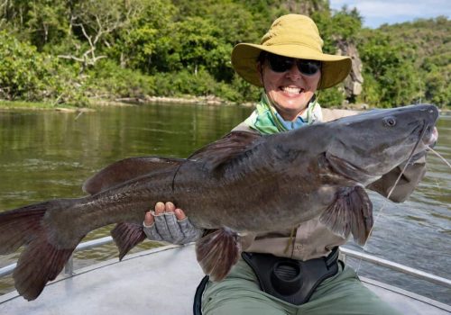 Semutundu Catfish Murchison Falls