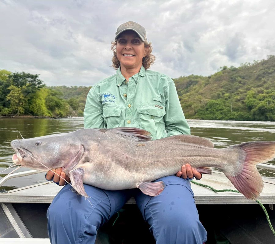 Semutundu Catfish Murchison Falls