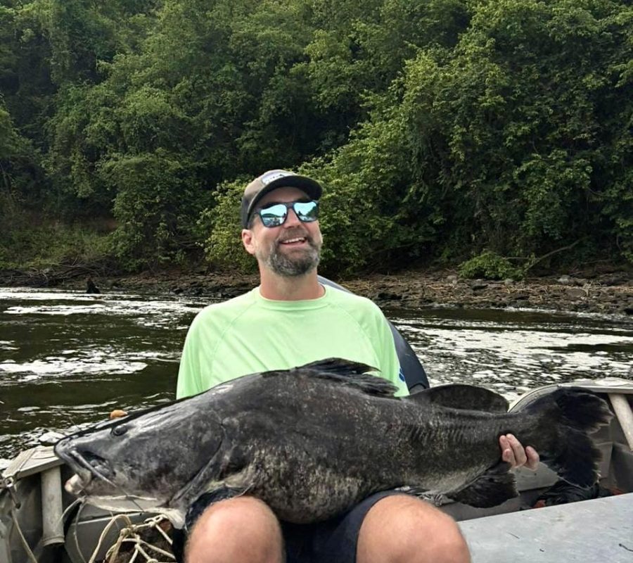 Semutundu Catfish Murchison Falls