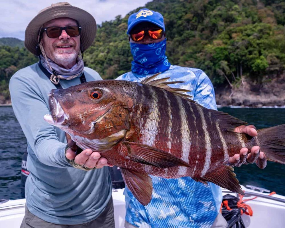 Snapper Darien Lodge