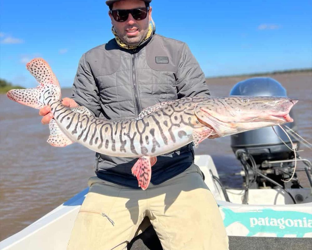 Surubi Catfish - Bucket List Fishing Trips