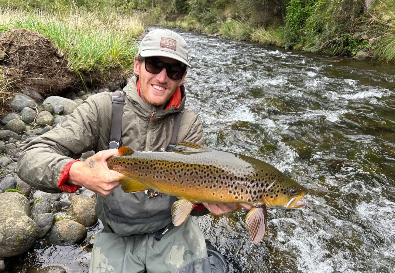 Brown Trout caught at Tongariro Lodge