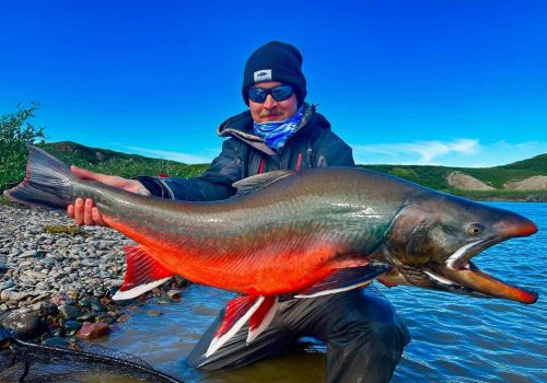 Tree River Arctic Char