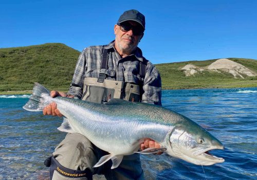 Tree River Arctic Char