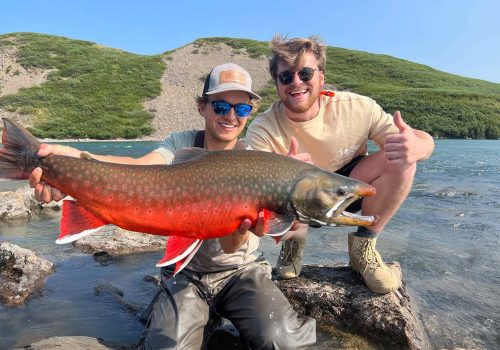 Tree River Arctic Char