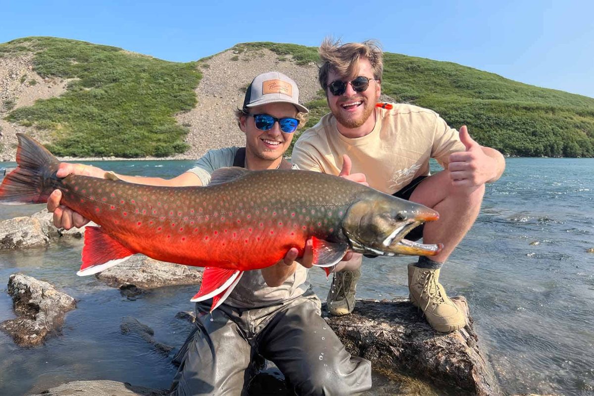 Tree River Arctic Char