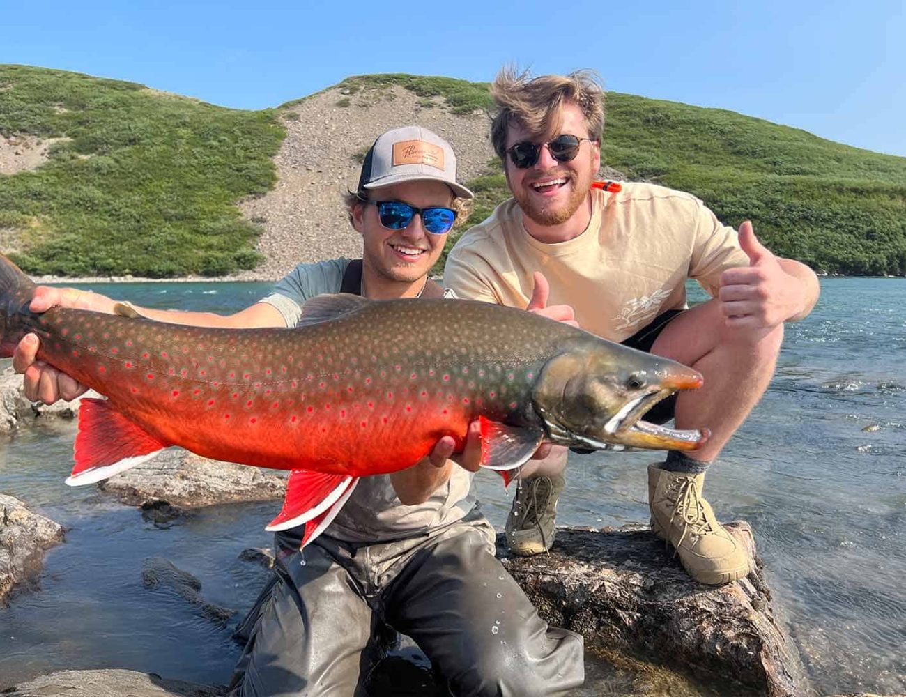 Tree River Arctic Char