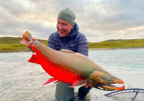Tree River Arctic Char
