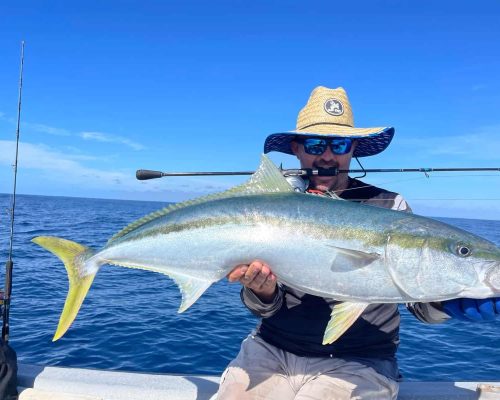 Yellowtail fishing