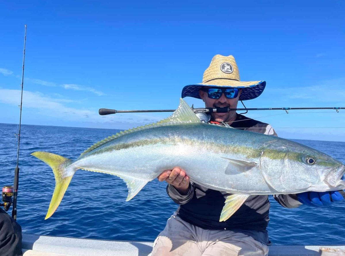 Yellowtail fishing