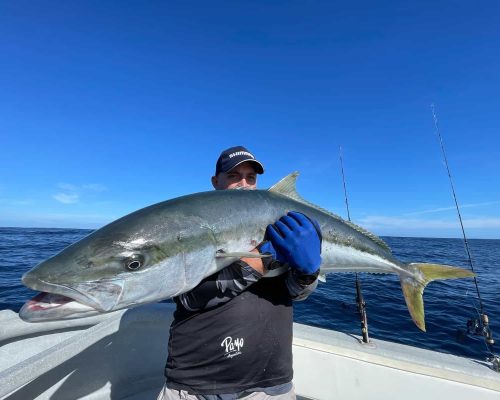 Yellowtail fishing