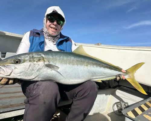 Yellowtail fishing