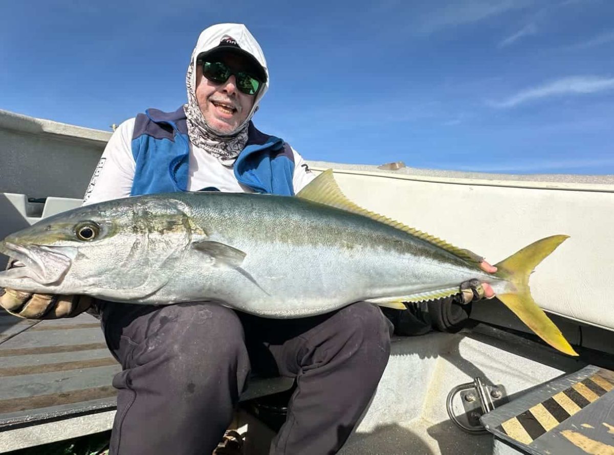 Yellowtail fishing