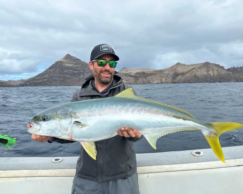 Yellowtail fishing