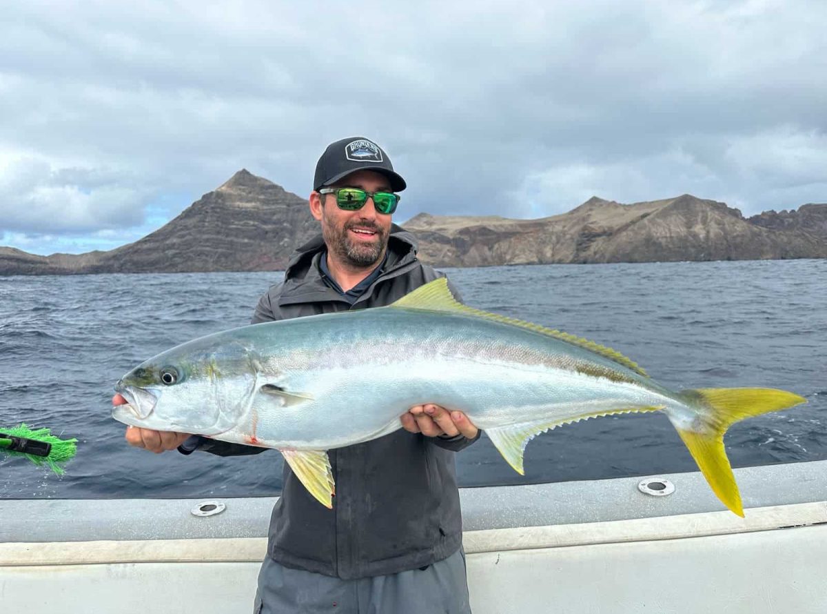 Yellowtail fishing