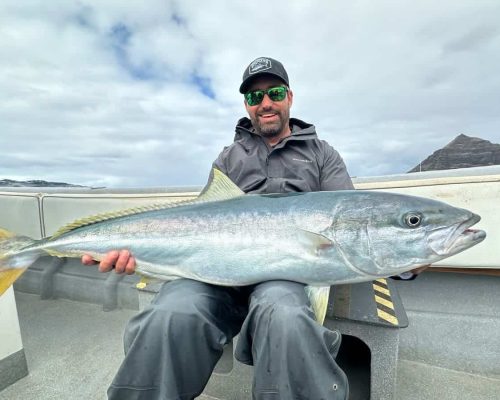 Yellowtail fishing