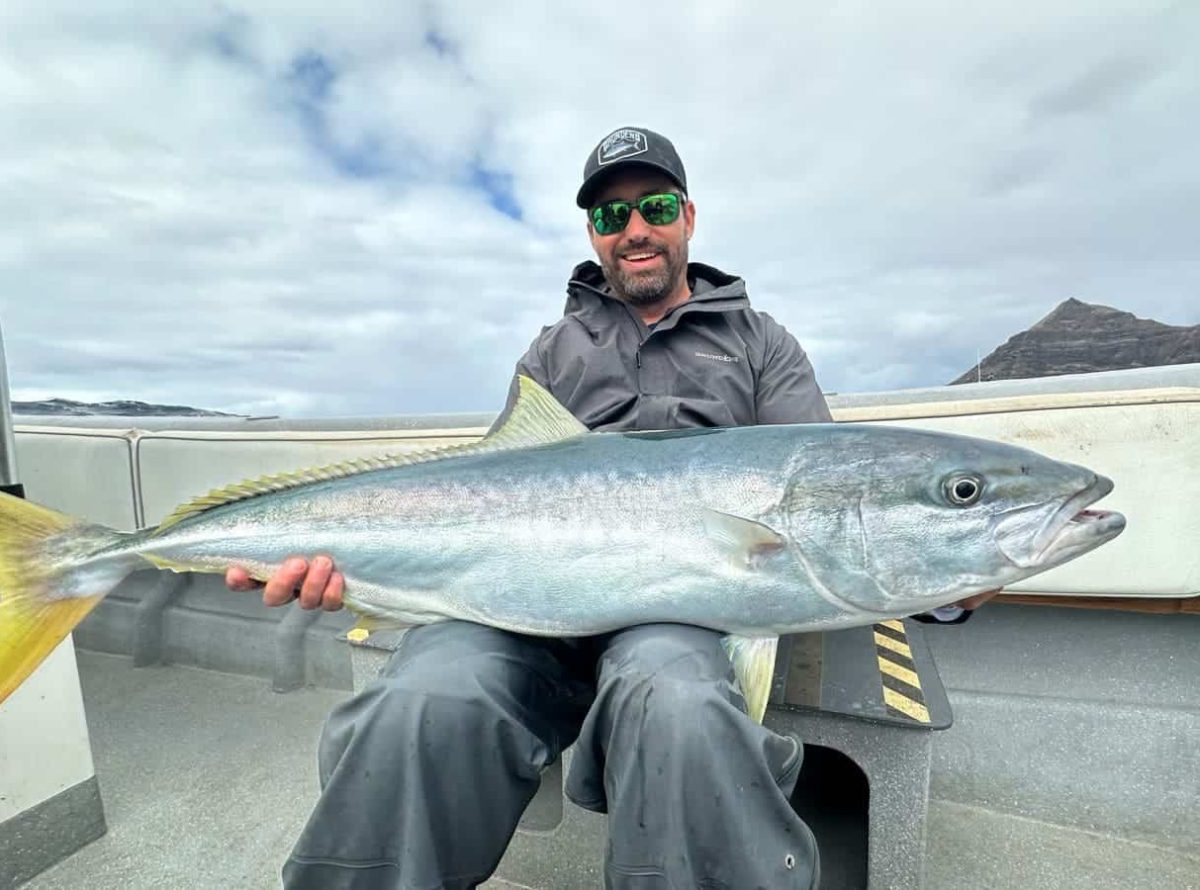 Yellowtail fishing