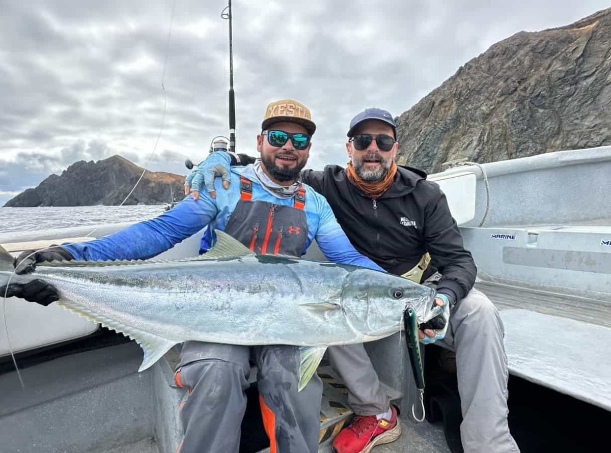 Yellowtail fishing
