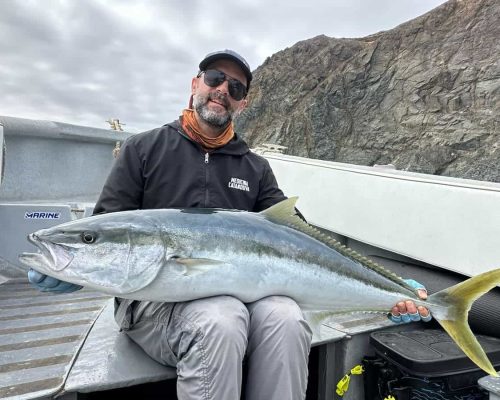 Yellowtail fishing