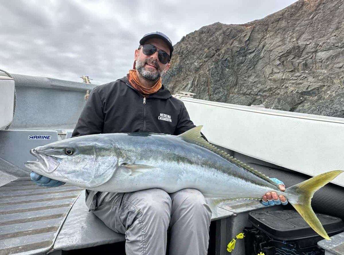 Yellowtail fishing