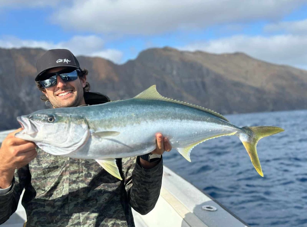 Yellowtail fishing