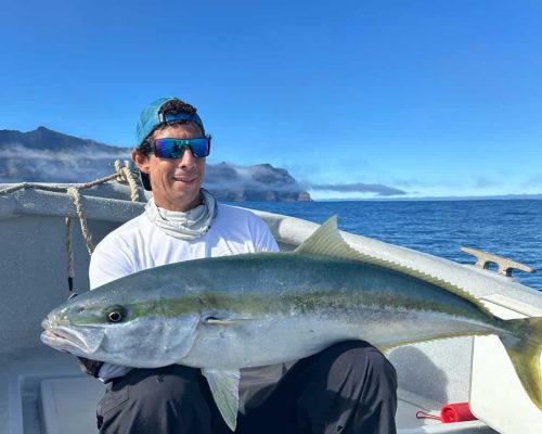 Yellowtail fishing
